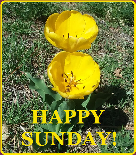 Happy Sunday!